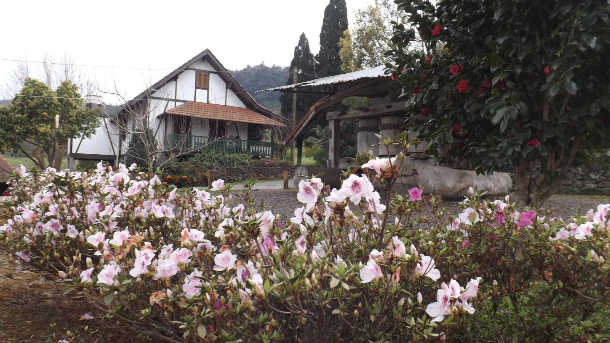 Recanto Dos Pioneiros Nova Petropolis Quarto foto