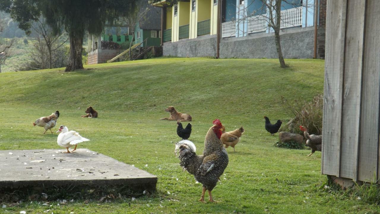 Recanto Dos Pioneiros Nova Petropolis Exterior foto